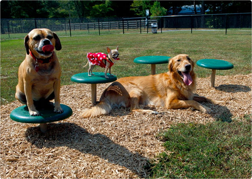 Parques caninos